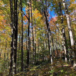 Meet your Posher, Richard